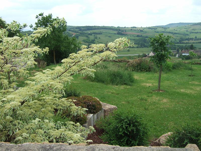2010-05- (93).JPG